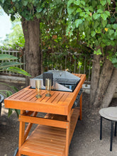 Load image into Gallery viewer, Baby Barbecue