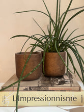 Load image into Gallery viewer, Charlie Metallic Gold