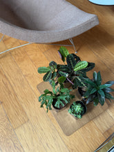 Load image into Gallery viewer, Aluminium square containers ( set of 2)