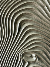 Load image into Gallery viewer, Aeropostale suspended Shelves