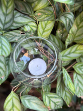 Load image into Gallery viewer, Plant Tea light Holder