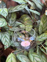 Load image into Gallery viewer, Plant Tea light Holder