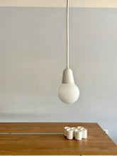 Load image into Gallery viewer, Bulb Fiction