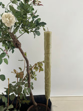 Load image into Gallery viewer, Garden Candle