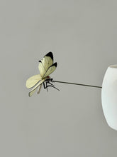 Load image into Gallery viewer, Johny B Bald Hanging Lamp