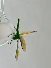 Load image into Gallery viewer, Johny B Bald Hanging Lamp