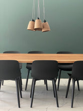 Load image into Gallery viewer, Sequoia Suspension