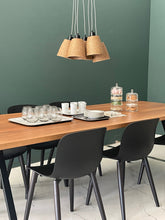 Load image into Gallery viewer, Sequoia Suspension