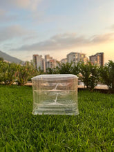 Load image into Gallery viewer, Verpan / Prada Inflatable seat