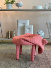 Load image into Gallery viewer, Petstools Daisy