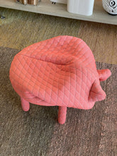 Load image into Gallery viewer, Petstools Daisy