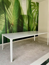 Load image into Gallery viewer, Plate Dining Table