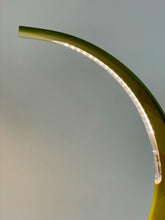 Load image into Gallery viewer, Taj Mini Green