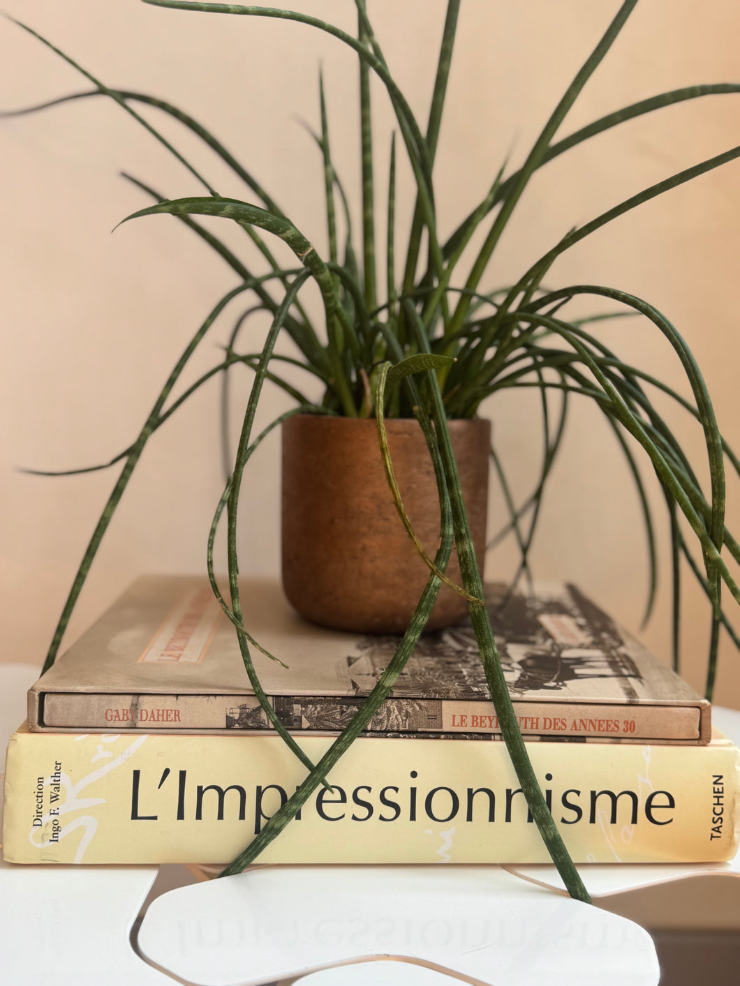 Charlie Metallic Gold