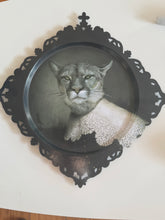 Load image into Gallery viewer, Trays size M | Medicis
