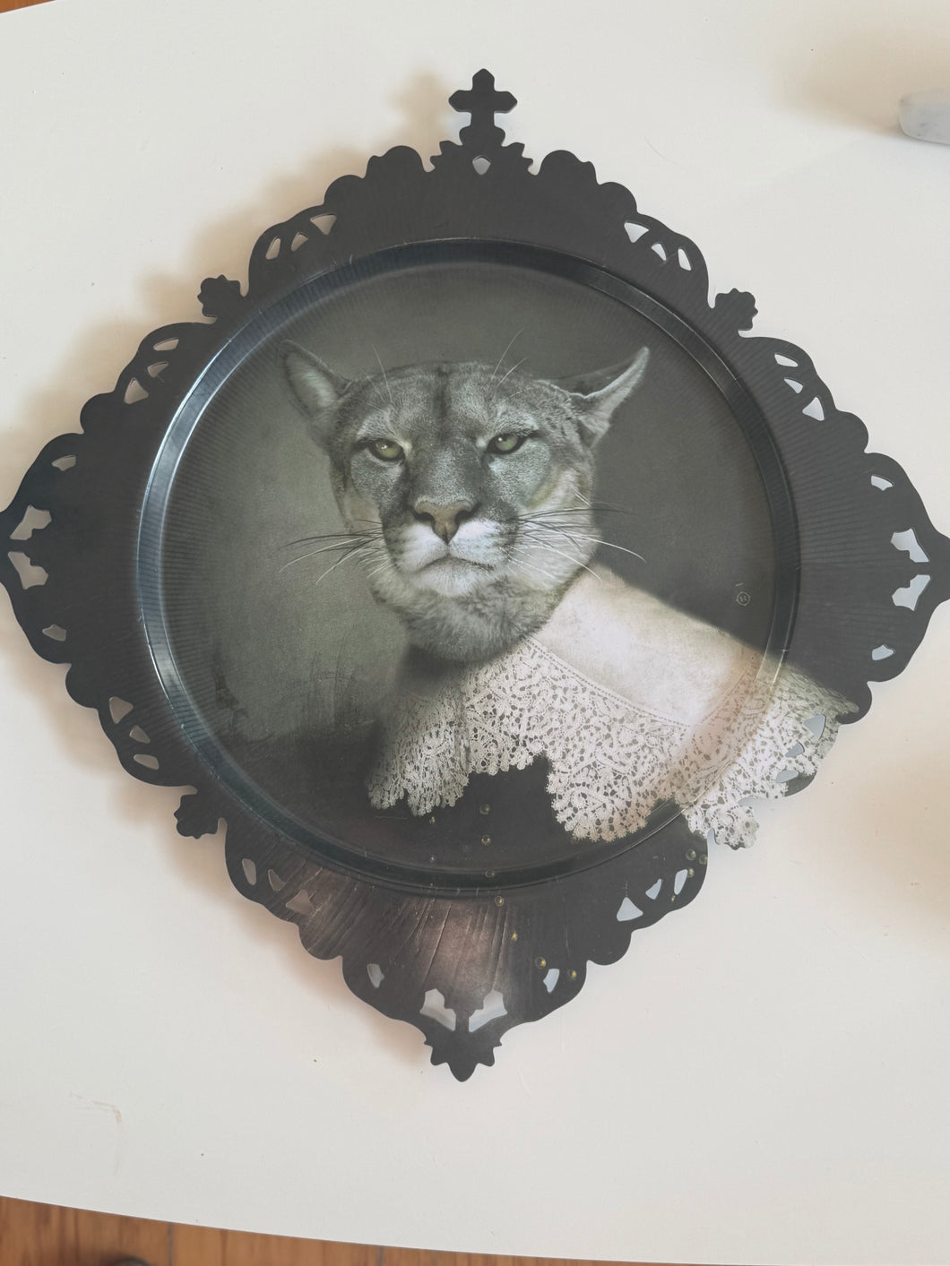 Trays size M | Medicis