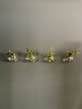 Load image into Gallery viewer, Hanging Ball Vase
