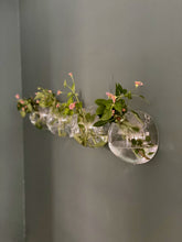 Load image into Gallery viewer, Hanging Ball Vase
