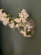 Load image into Gallery viewer, Hanging Ball Vase
