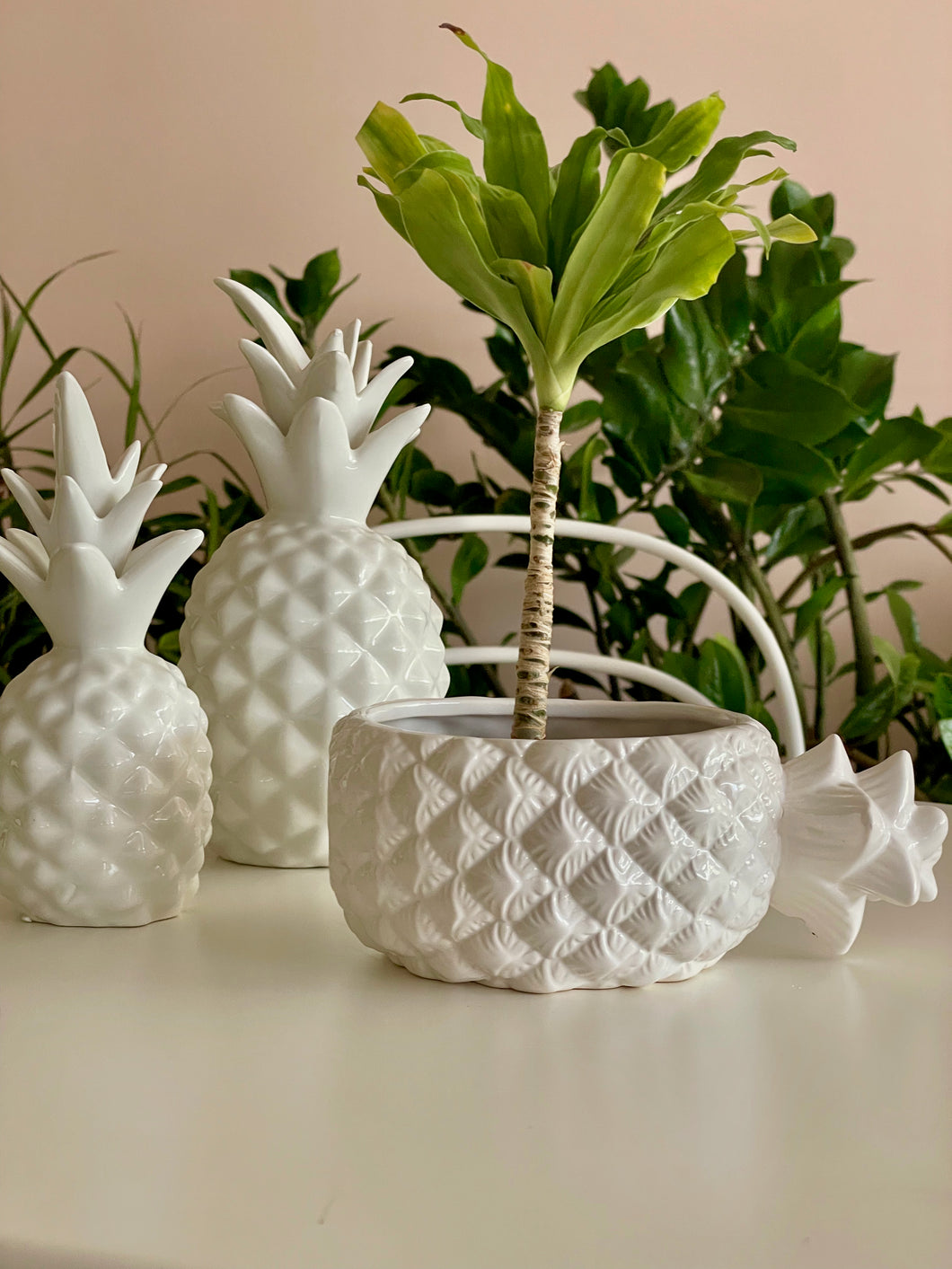 Coupelle Pineapple