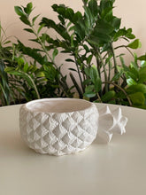 Load image into Gallery viewer, Coupelle Pineapple
