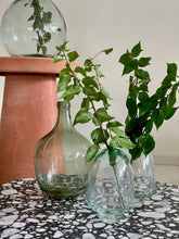 Load image into Gallery viewer, Vase Mush
