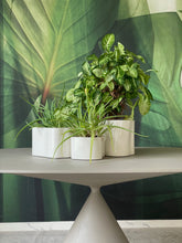 Load image into Gallery viewer, Riihitie Plant Pot B Medium White
