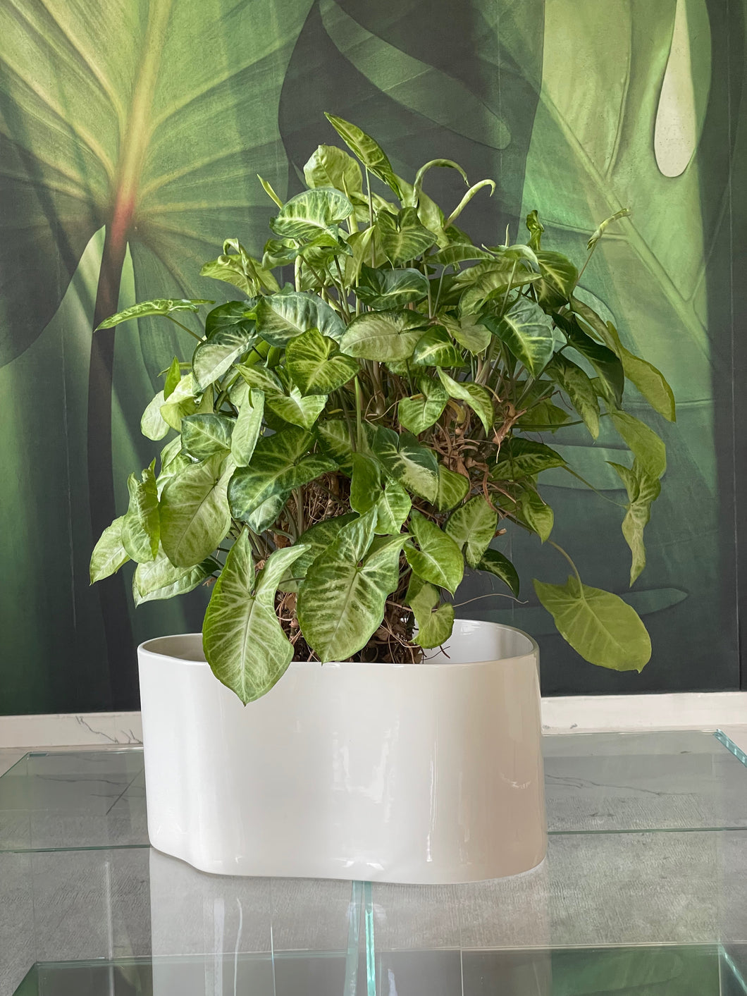 Riihitie Plant Pot A Big White