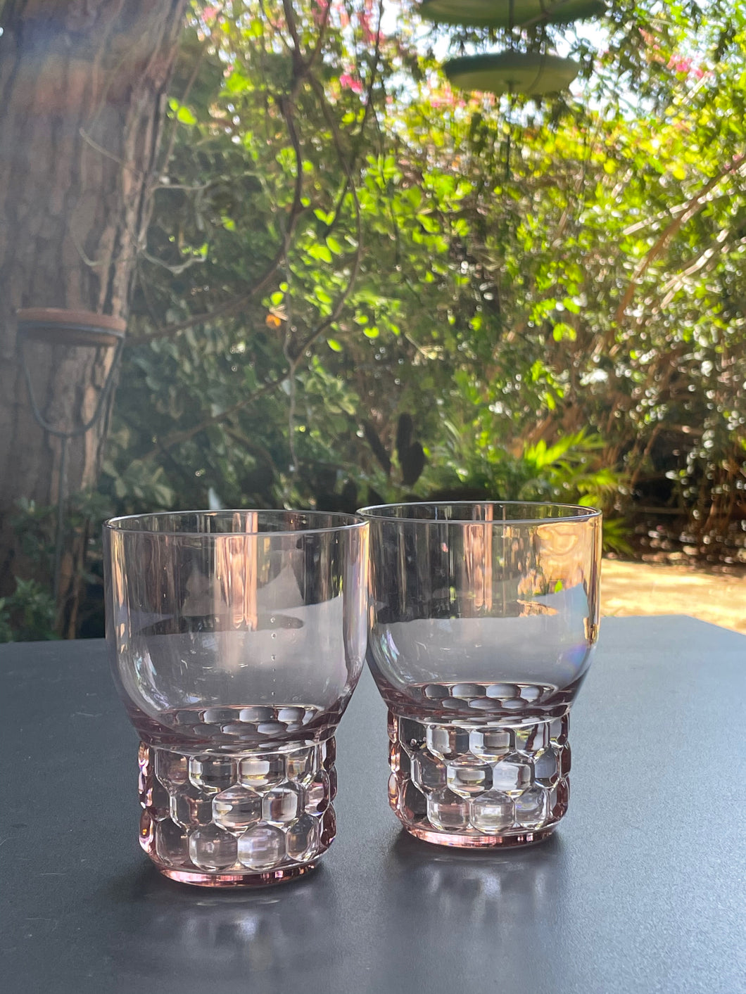 Jellies Family Water Glass