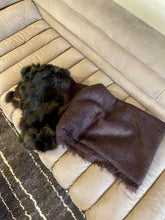 Load image into Gallery viewer, Fendi Plaid
